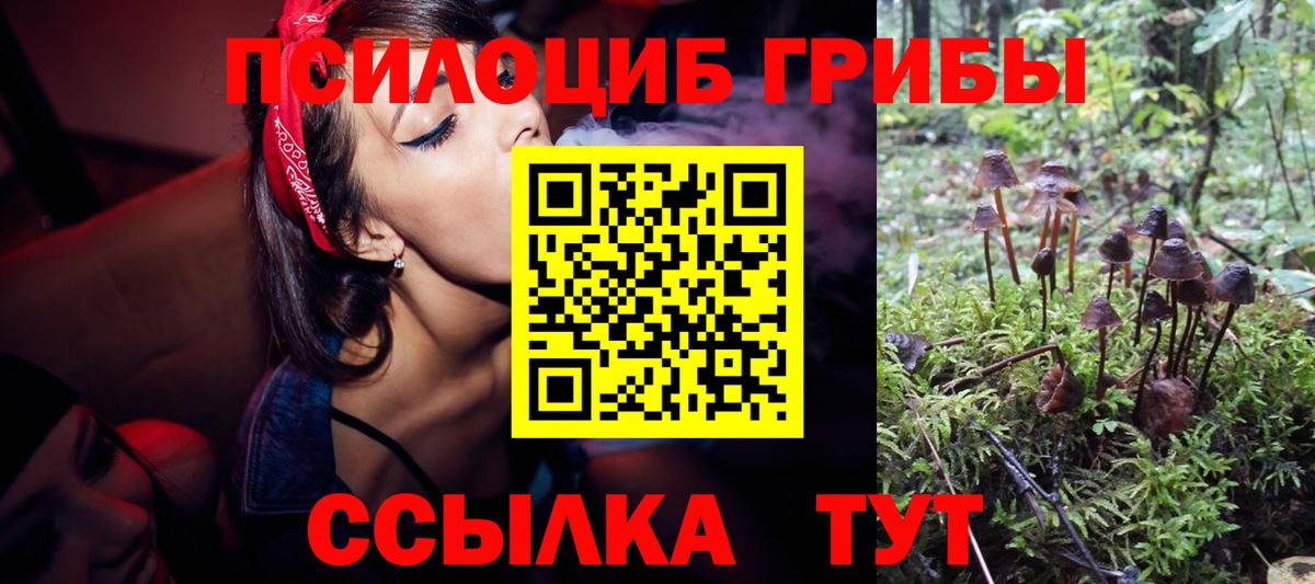 Галлюциногенные грибы Magic Shrooms Минеральные Воды