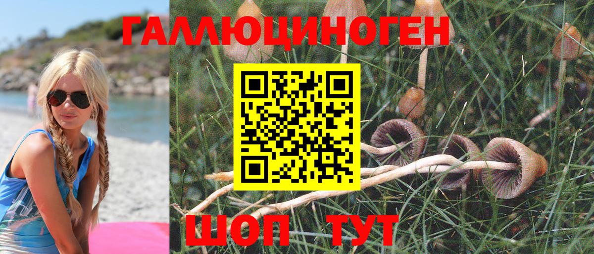 Галлюциногенные грибы Cubensis  Галлюциногенные грибы MAGIC MUSHROOMS  где купить наркоту  Минеральные Воды  Вход с VPN 